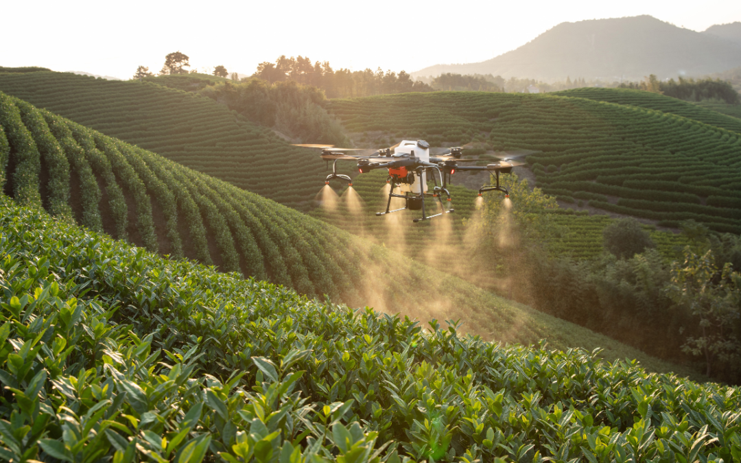 Como empresas Chinesas usam Drones para agricultura sustentável