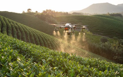 Como empresas Chinesas usam Drones para agricultura sustentável