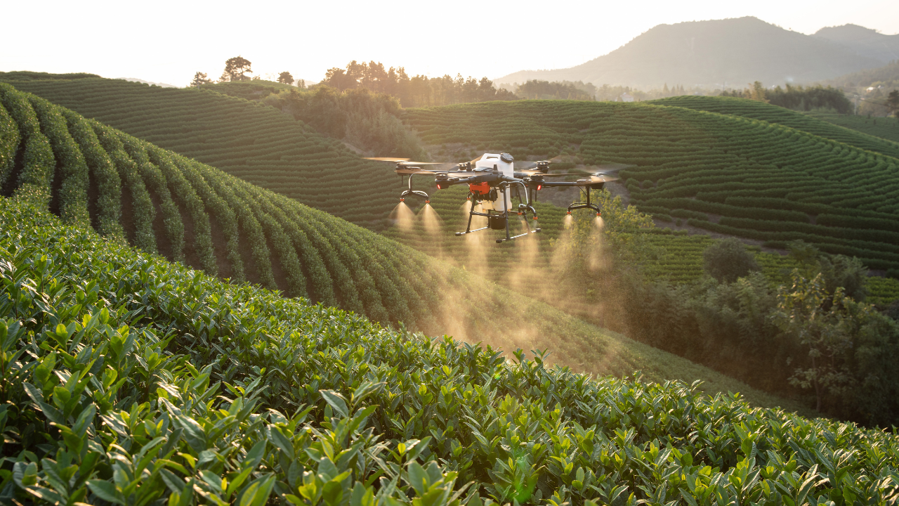 Como Empresas Chinesas Usam Drones para Agricultura Sustentável