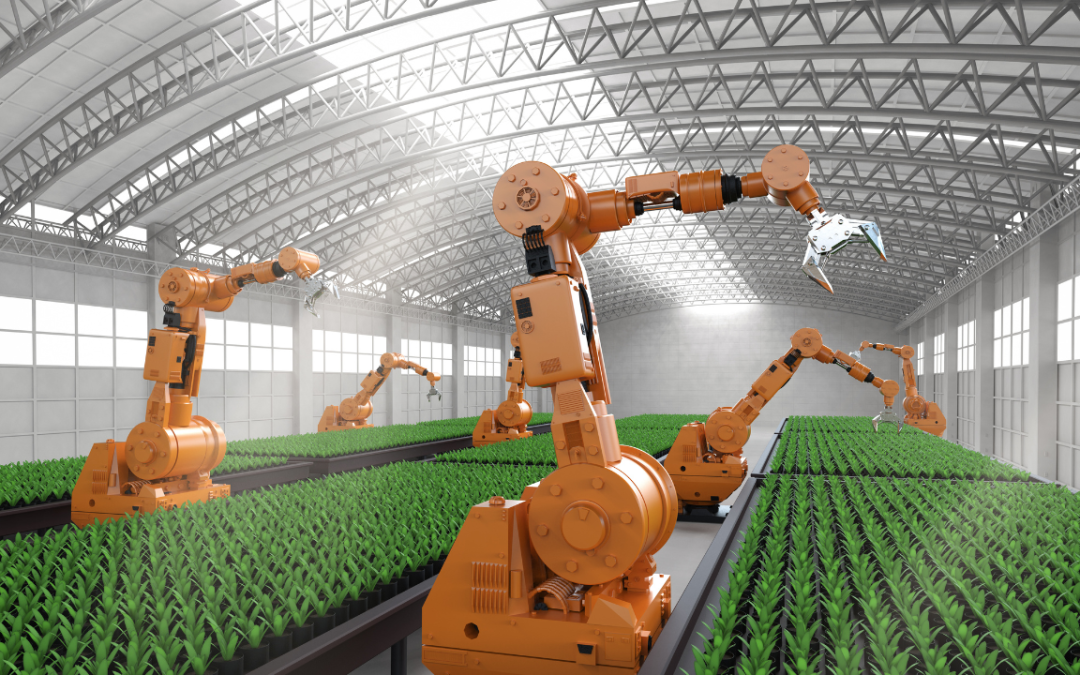 5 Tecnologias Agrícolas da China que podem melhorar a produção em Moçambique
