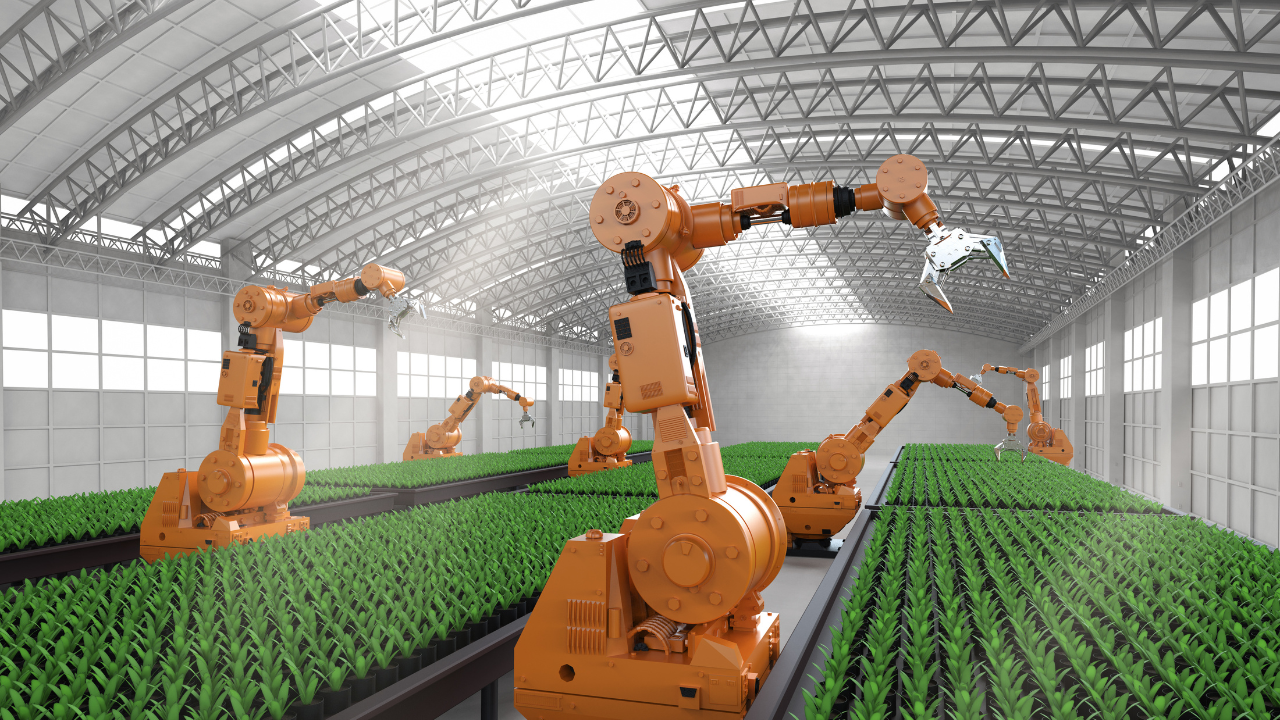 5 Tecnologias Agrícolas da China que Podem Melhorar a Produção em Moçambique